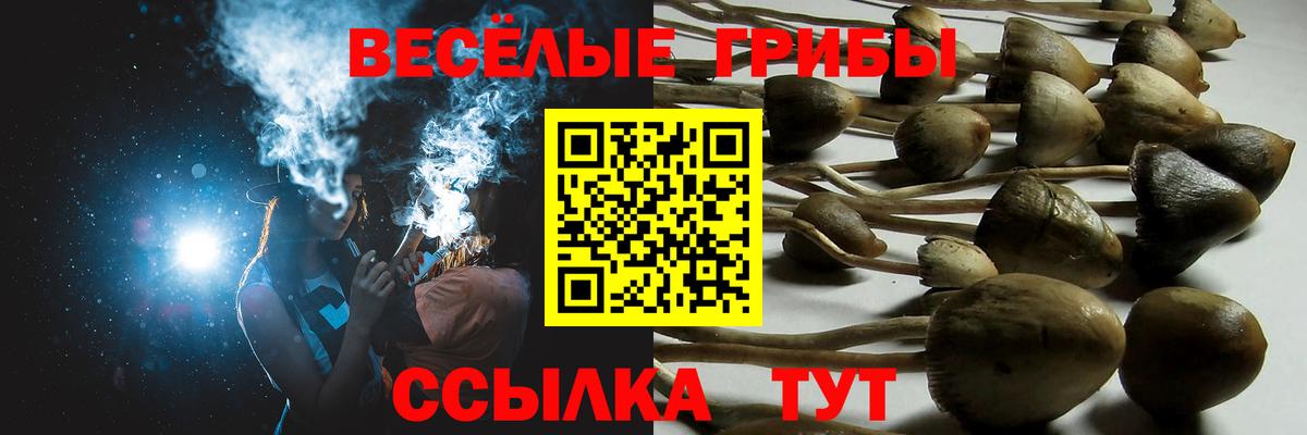 Псилоцибиновые грибы мухоморы  Вход с VPN  Галлюциногенные грибы MAGIC MUSHROOMS  Кингисепп 